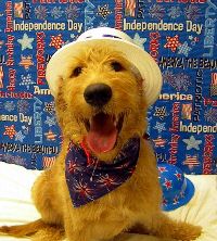Moose July 10.jpg